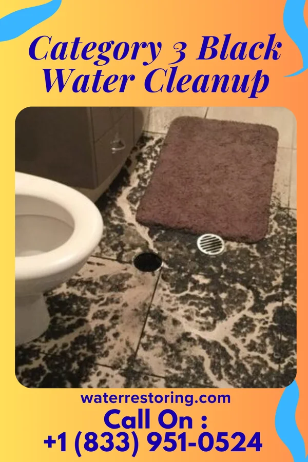 Category 3 Black Water Cleanup in Villa Park, IL