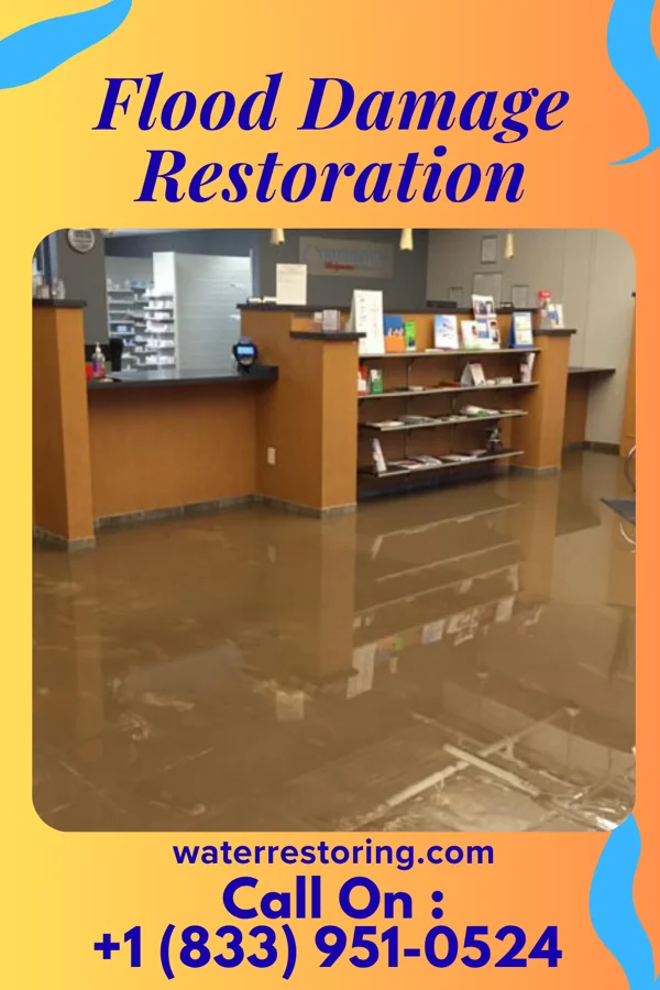 Flood Damage Restoration in Villa Park, IL
