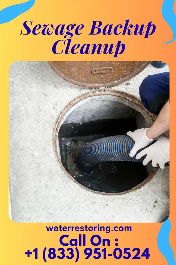 Sewage Backup Cleanup in Villa Park, IL
